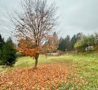 Sale Land – for living, Land – for living, Priečnica, Čadca, Slovakia