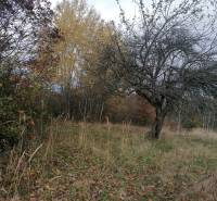 Sale Recreational land, Recreational land, Žarnovica, Slovakia