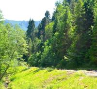 Sale Agrarian and forest land, Agrarian and forest land, Gelnica, Slov