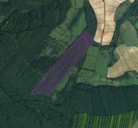 Sale Agrarian and forest land, Agrarian and forest land, Revúca, Slova