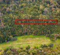 Sale Agrarian and forest land, Agrarian and forest land, Snina, Slovak