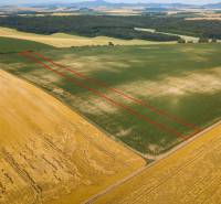Sale Agrarian and forest land, Agrarian and forest land, Hlohovec, Slo