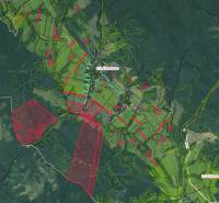 Sale Agrarian and forest land, Agrarian and forest land, Medzilaborce,