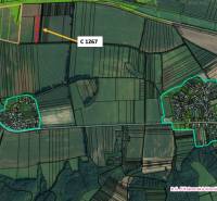 Sale Agrarian and forest land, Agrarian and forest land, Lučenec, Slov