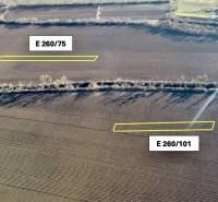 Sale Agrarian and forest land, Agrarian and forest land, Michalovce, S
