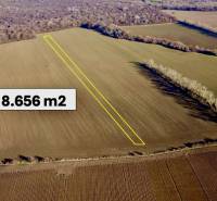 Sale Agrarian and forest land, Agrarian and forest land, Michalovce, S