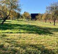 Sale Land – for living, Land – for living, Košice-okolie, Slovakia