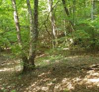 Sale Agrarian and forest land, Agrarian and forest land, Revúca, Slova