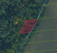 Sale Agrarian and forest land, Agrarian and forest land, Michalovce, S