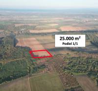 Sale Agrarian and forest land, Agrarian and forest land, Veľký Krtíš,