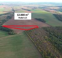 Sale Agrarian and forest land, Agrarian and forest land, Veľký Krtíš,