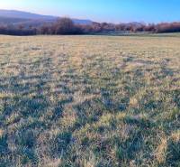 Sale Recreational land, Recreational land, Rovná, Zlaté Moravce, Slova