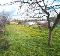 Sale Land – for living, Land – for living, Bánovce nad Bebravou, Slova