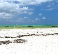 Beach-Paje
