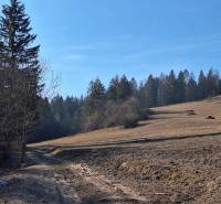Sale Recreational land, Recreational land, Kysucké Nové Mesto, Slovaki
