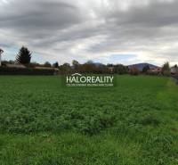 Preseľany Land – for living Sale reality Topoľčany