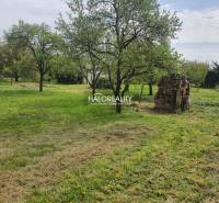 Vrbové Family house Sale reality Piešťany