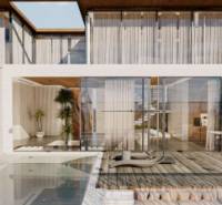 Interior with a pool and terrace, House construction.