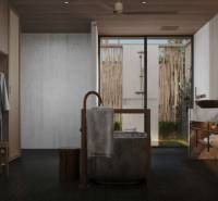 Luxury bathroom with a mirror and sinks, connected to a shower area. House construction.