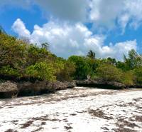 BEACHFRONT LAND FOR SALE IN JAMBIANI