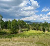 Sale Land – for living, Land – for living, Nový Svet, Detva, Slovakia