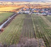 Sale Agrarian and forest land, Agrarian and forest land, Novosadská, P
