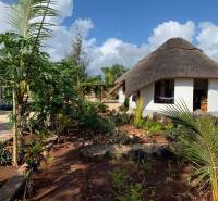 House near beach garden view.jpg