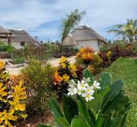 Villa surrounded by a blooming fragrant garden.jpg