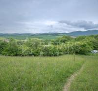 Greenery on recreational plots in Kostolná-Záriečie, surrounded by fields and forest.