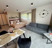 Modern Furnished Apartment with Terrace in Scenic Hrabovo