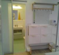 In the 1-room apartment, there is a bathroom with glass doors and storage space.