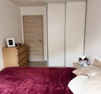 A bedroom in a two-room apartment with a bed, wardrobe, dresser, and wooden door.