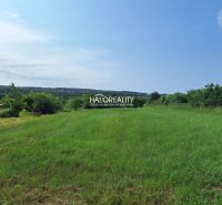 Green meadows and trees in the summer landscape near recreational properties in Žemberovce.