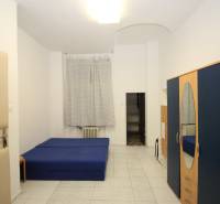 Bright 1-room apartment with a blue bed, wardrobe, and white tiles.