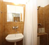 Bathroom in a studio apartment with brown tiles, a sink, and a shower.