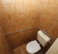 A toilet with brown tiles in a studio apartment.