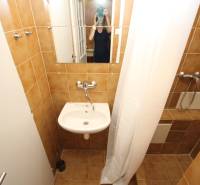 A bathroom with brown tiles, a shower, a sink, and a mirror in a studio apartment.