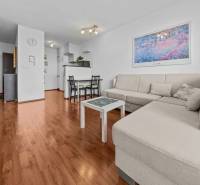Bright living room in a 2-room apartment with a sofa, dining table, and wooden floor.