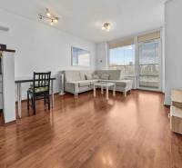 Living room in a two-room apartment with a sofa and a dining table.