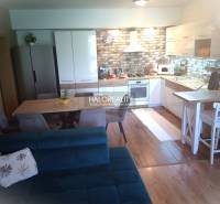 Kitchen and living room in a 3-room apartment with a dining table and brick cladding.