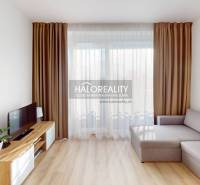 Living room of a two-room apartment with a sofa, TV stand, and decorative curtains.