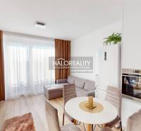 Living room in a two-room apartment with a sofa, dining table, curtains, and kitchen unit.