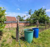 The garden of the family house on Hlavná Street in Borský Svätý Jur with a rain barrel.