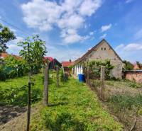 The garden at the family house on Hlavná Street in Borský Svätý Jur with a rural atmosphere.