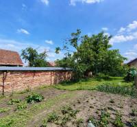 The garden of a family house in Borský Svätý Jur on Hlavná Street, with fruit trees.