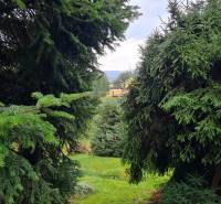 A garden with coniferous trees in the background in Bratislava - Dúbravka, Tavarikova settlement, House construction.