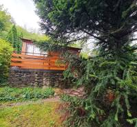 Wooden cottage with a garden, pine tree, stone wall, in Bratislava-Dúbravka, Tavarikova osada.