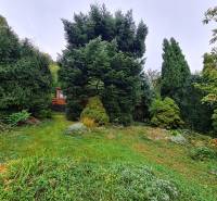 A well-maintained garden with abundant greenery, hidden among the trees in the Tavarikova osada area, Bratislava - Dúbravka.