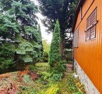 A garden with conifers near a house in the Bratislava - Dúbravka area, Tavarikova settlement, House construction.