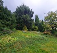 A garden with dense greenery and various types of trees in the area of Bratislava - Dúbravka.
